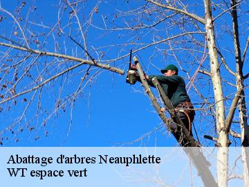 Abattage d'arbres  neauphlette-78980 WT espace vert 