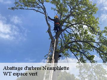 Abattage d'arbres  neauphlette-78980 WT espace vert 