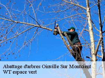 Abattage d'arbres  oinville-sur-montcient-78250 WT espace vert 