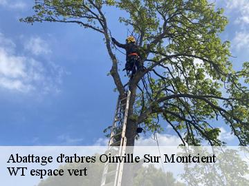 Abattage d'arbres  oinville-sur-montcient-78250 WT espace vert 