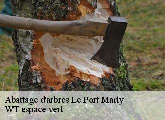 Abattage d'arbres  le-port-marly-78560 WT espace vert 