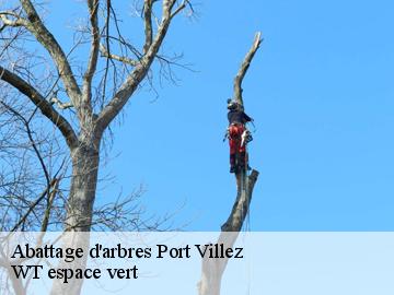 Abattage d'arbres  port-villez-78270 WT espace vert 