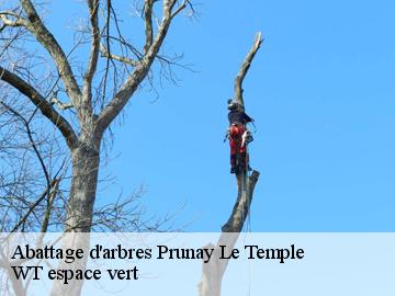 Abattage d'arbres  prunay-le-temple-78910 WT espace vert 