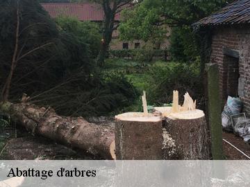 Abattage d'arbres  prunay-le-temple-78910 WT espace vert 