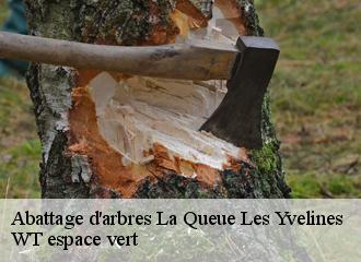 Abattage d'arbres  la-queue-les-yvelines-78940 WT espace vert 