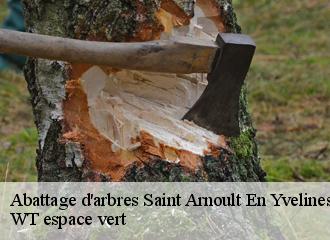 Abattage d'arbres  saint-arnoult-en-yvelines-78730 WT espace vert 