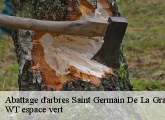 Abattage d'arbres  saint-germain-de-la-grange-78640 WT espace vert 