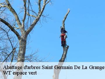 Abattage d'arbres  saint-germain-de-la-grange-78640 WT espace vert 