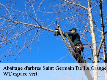 Abattage d'arbres  saint-germain-de-la-grange-78640 WT espace vert 