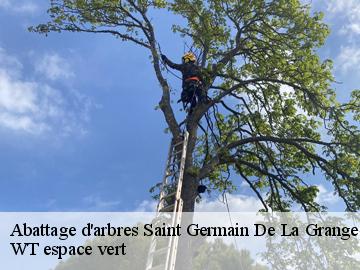 Abattage d'arbres  saint-germain-de-la-grange-78640 WT espace vert 