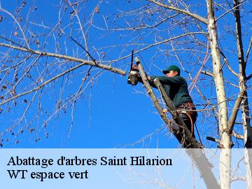 Abattage d'arbres  saint-hilarion-78125 WT espace vert 