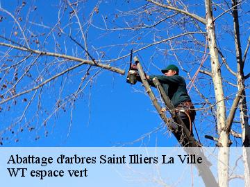 Abattage d'arbres  saint-illiers-la-ville-78980 WT espace vert 