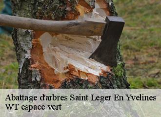 Abattage d'arbres  saint-leger-en-yvelines-78610 WT espace vert 