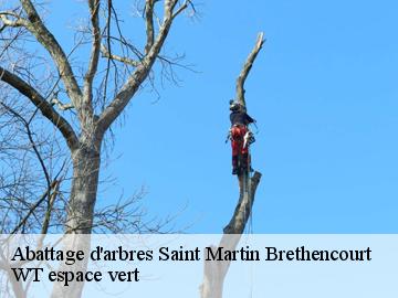 Abattage d'arbres  saint-martin-brethencourt-78660 WT espace vert 