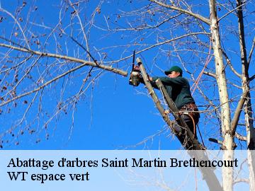 Abattage d'arbres  saint-martin-brethencourt-78660 WT espace vert 