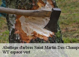 Abattage d'arbres  saint-martin-des-champs-78790 WT espace vert 