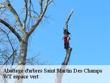 Abattage d'arbres  saint-martin-des-champs-78790 WT espace vert 