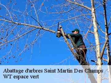 Abattage d'arbres  saint-martin-des-champs-78790 WT espace vert 