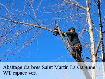 Abattage d'arbres  saint-martin-la-garenne-78520 WT espace vert 