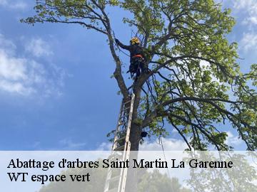 Abattage d'arbres  saint-martin-la-garenne-78520 WT espace vert 