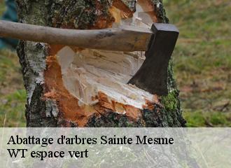 Abattage d'arbres  sainte-mesme-78730 WT espace vert 