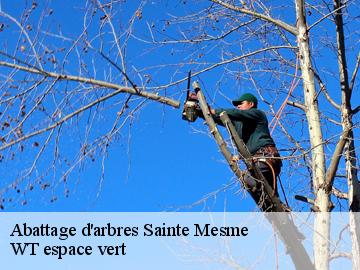 Abattage d'arbres  sainte-mesme-78730 WT espace vert 