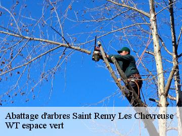 Abattage d'arbres  saint-remy-les-chevreuse-78470 WT espace vert 