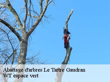 Abattage d'arbres  le-tartre-gaudran-78113 WT espace vert 