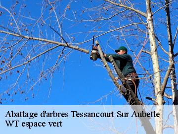 Abattage d'arbres  tessancourt-sur-aubette-78250 WT espace vert 