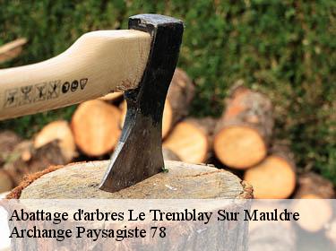 Abattage d'arbres  le-tremblay-sur-mauldre-78490 Archange Paysagiste 78