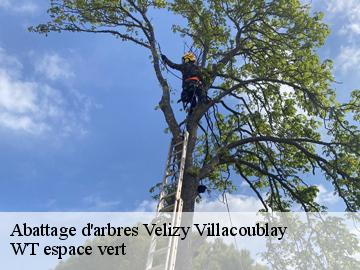 Abattage d'arbres  velizy-villacoublay-78140 WT espace vert 