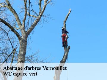 Abattage d'arbres  vernouillet-78540 WT espace vert 