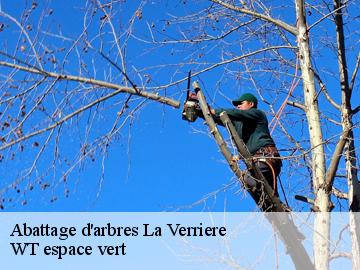 Abattage d'arbres  la-verriere-78320 WT espace vert 