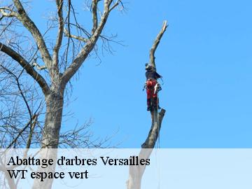 Abattage d'arbres  versailles-78000 WT espace vert 