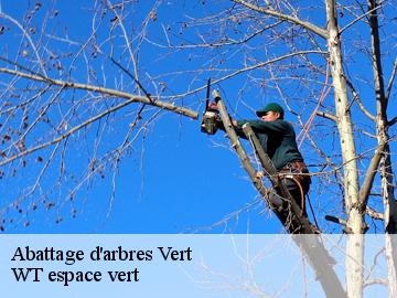 Abattage d'arbres  vert-78930 WT espace vert 