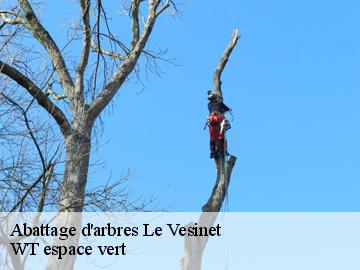 Abattage d'arbres  le-vesinet-78110 WT espace vert 