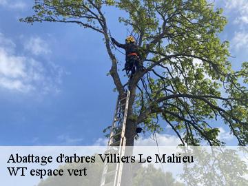 Abattage d'arbres  villiers-le-mahieu-78770 WT espace vert 