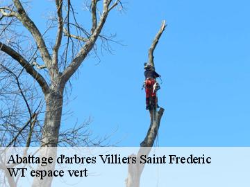 Abattage d'arbres  villiers-saint-frederic-78640 WT espace vert 