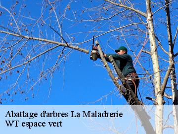 Abattage d'arbres  la-maladrerie-78300 WT espace vert 