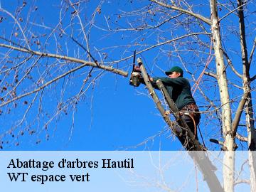 Abattage d'arbres  hautil-78510 WT espace vert 