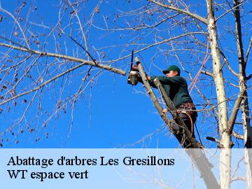 Abattage d'arbres  les-gresillons-78955 WT espace vert 