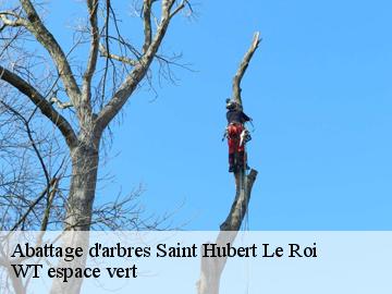 Abattage d'arbres  saint-hubert-le-roi-78690 WT espace vert 