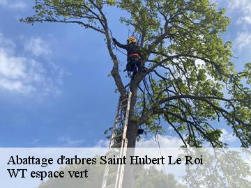 Abattage d'arbres  saint-hubert-le-roi-78690 WT espace vert 